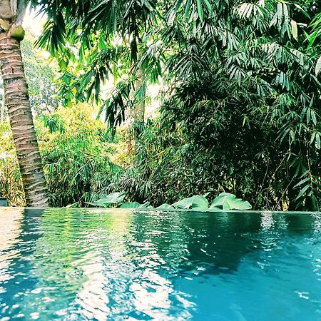 Отель Ngesil Private Joglo & Pool Убуд Экстерьер фото
